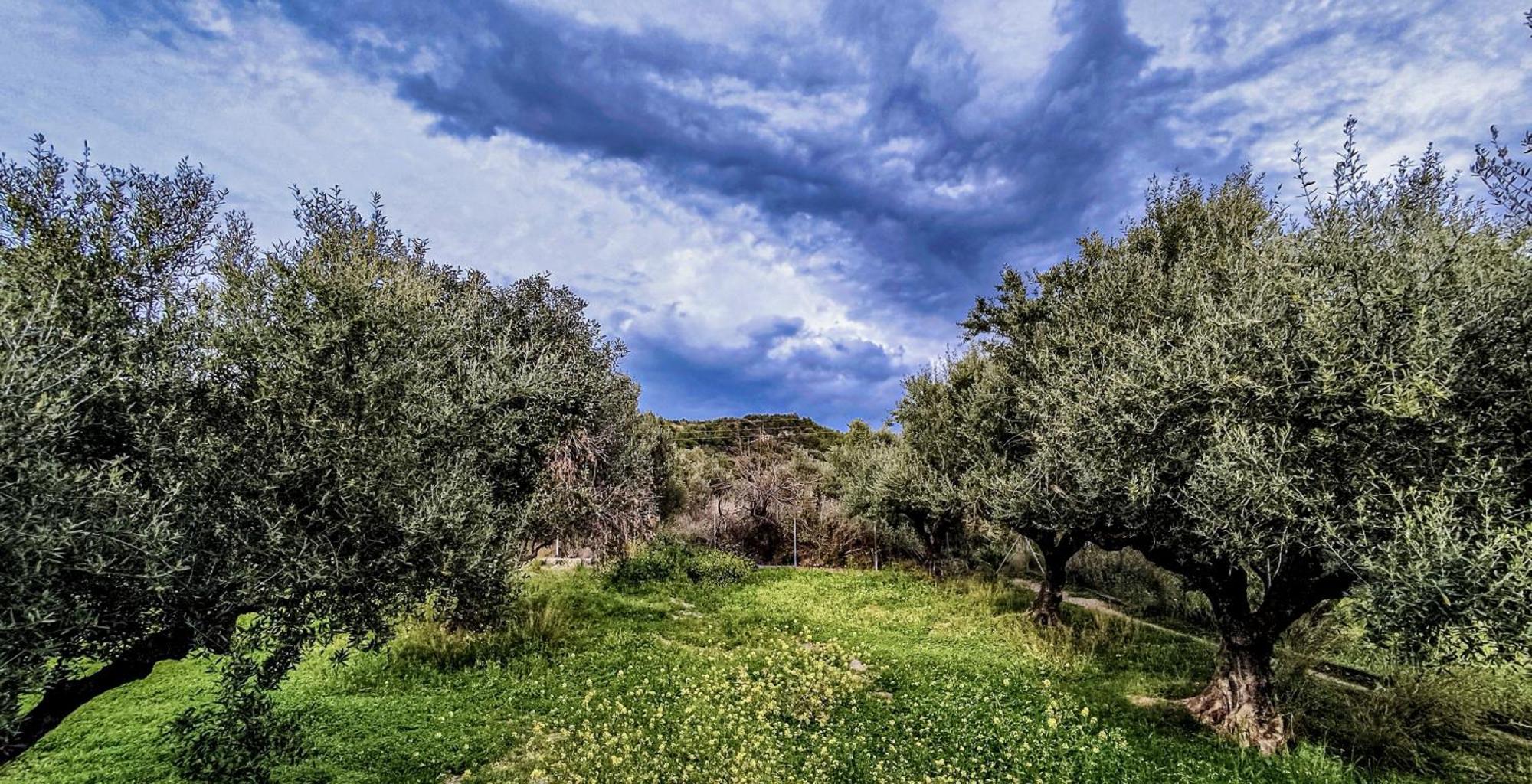Your Spot West Peloponnese Shared Countryhouse Zacharo Exterior photo