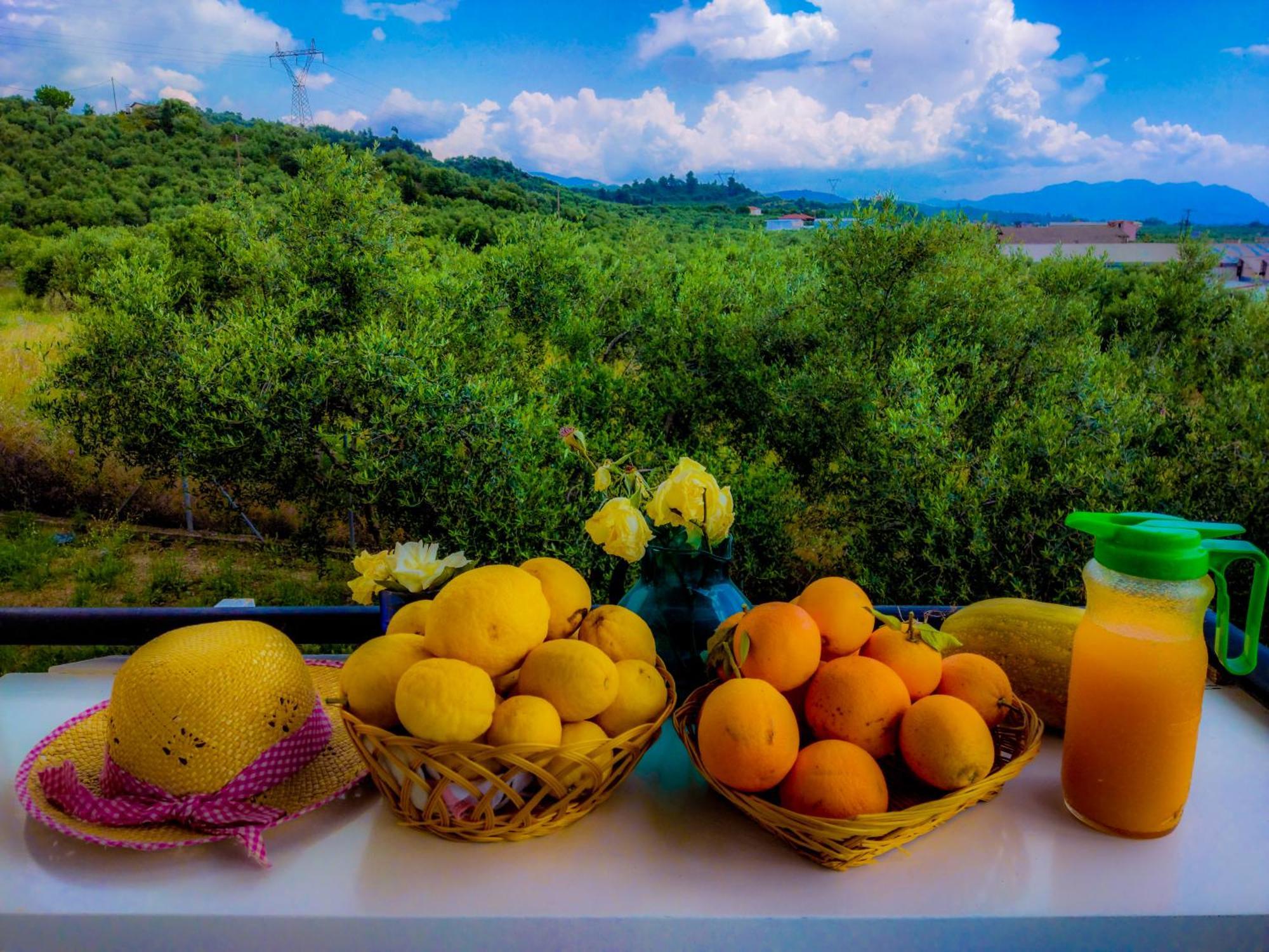 Your Spot West Peloponnese Shared Countryhouse Zacharo Exterior photo